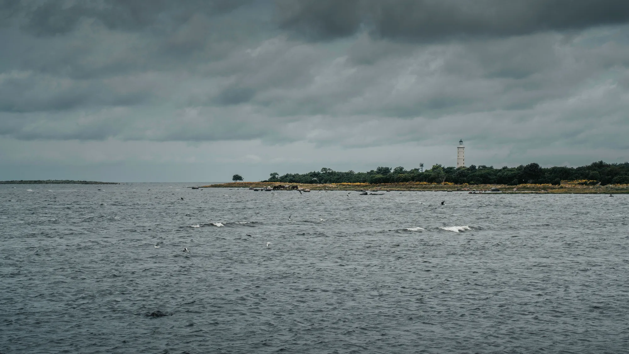 Saaremaa Island travel 3