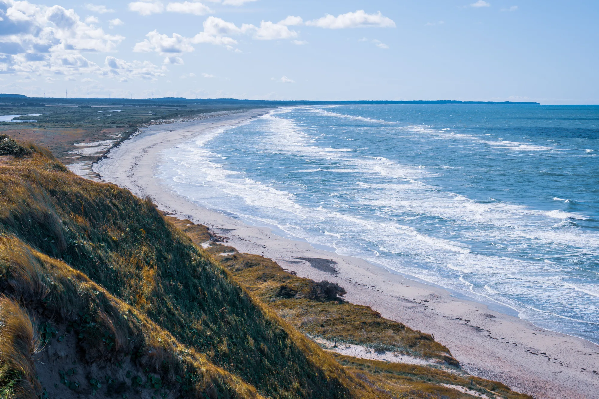 Skagen travel 3