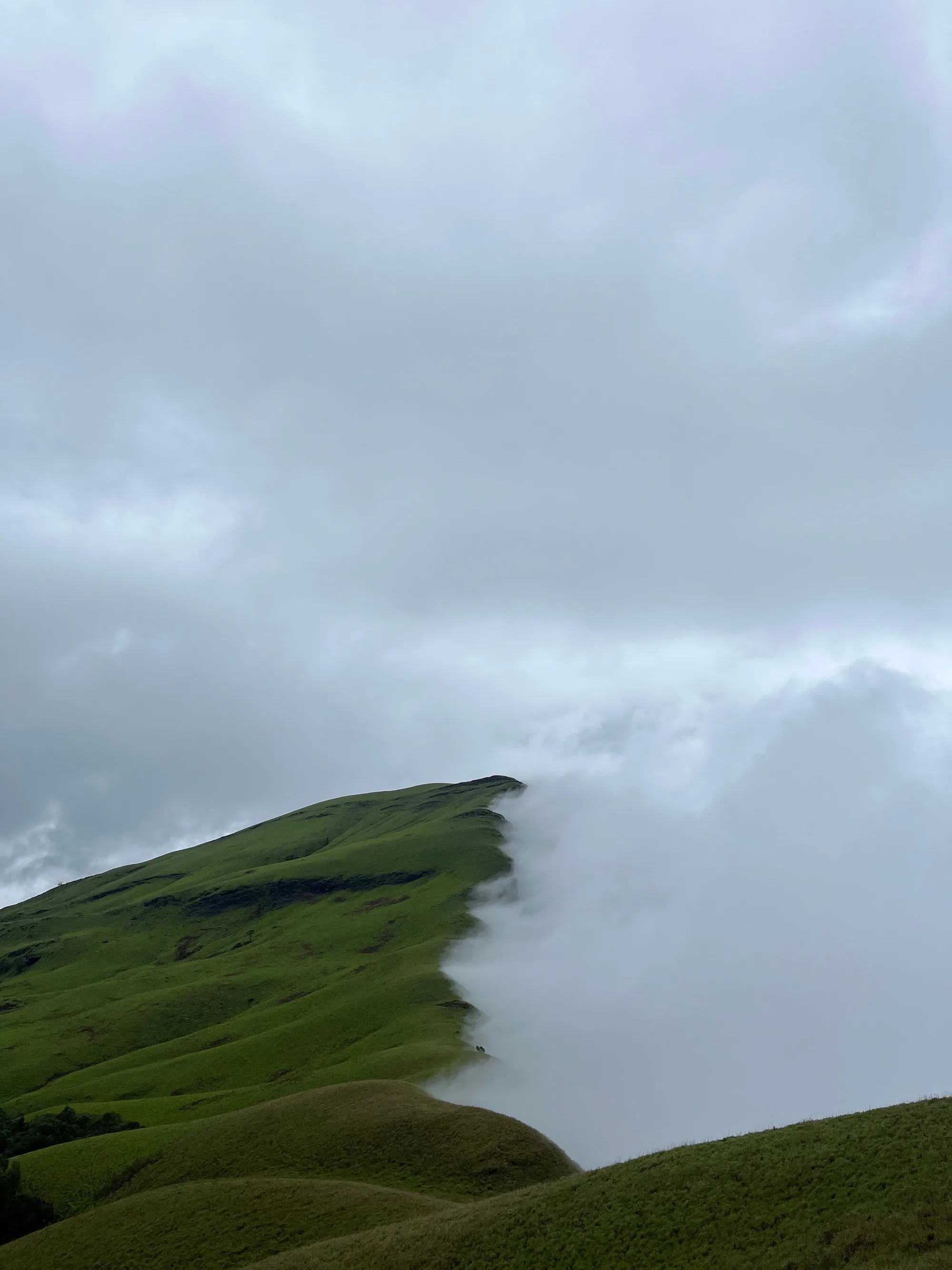 Chikmagalur Misty Estates Escape travel 1