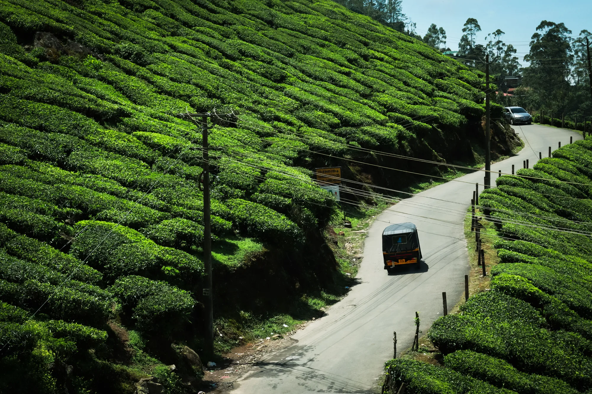 Kerala Backwaters & Munnar Honeymoon Retreat