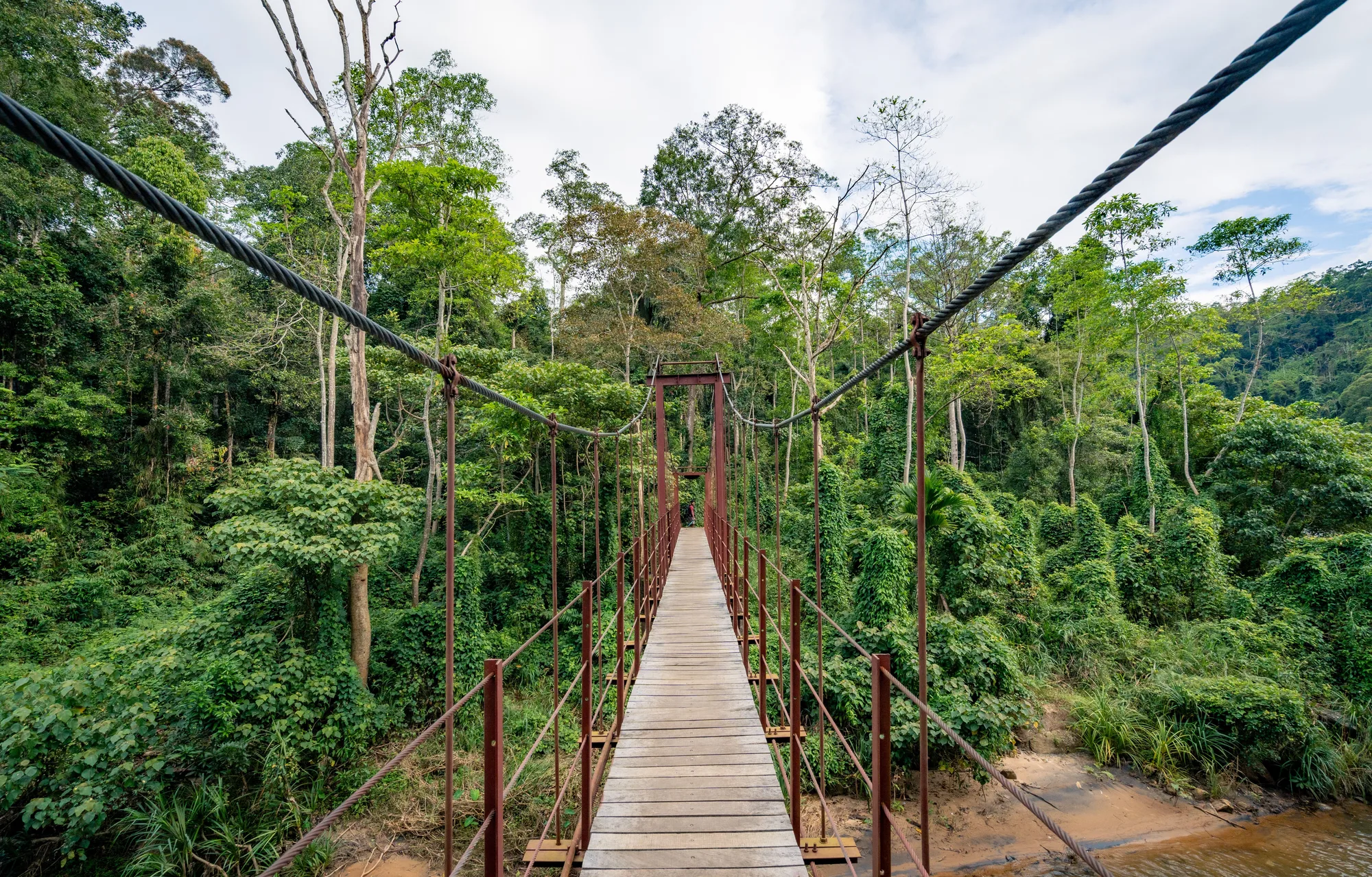 Ulu Temburong National Park travel 3