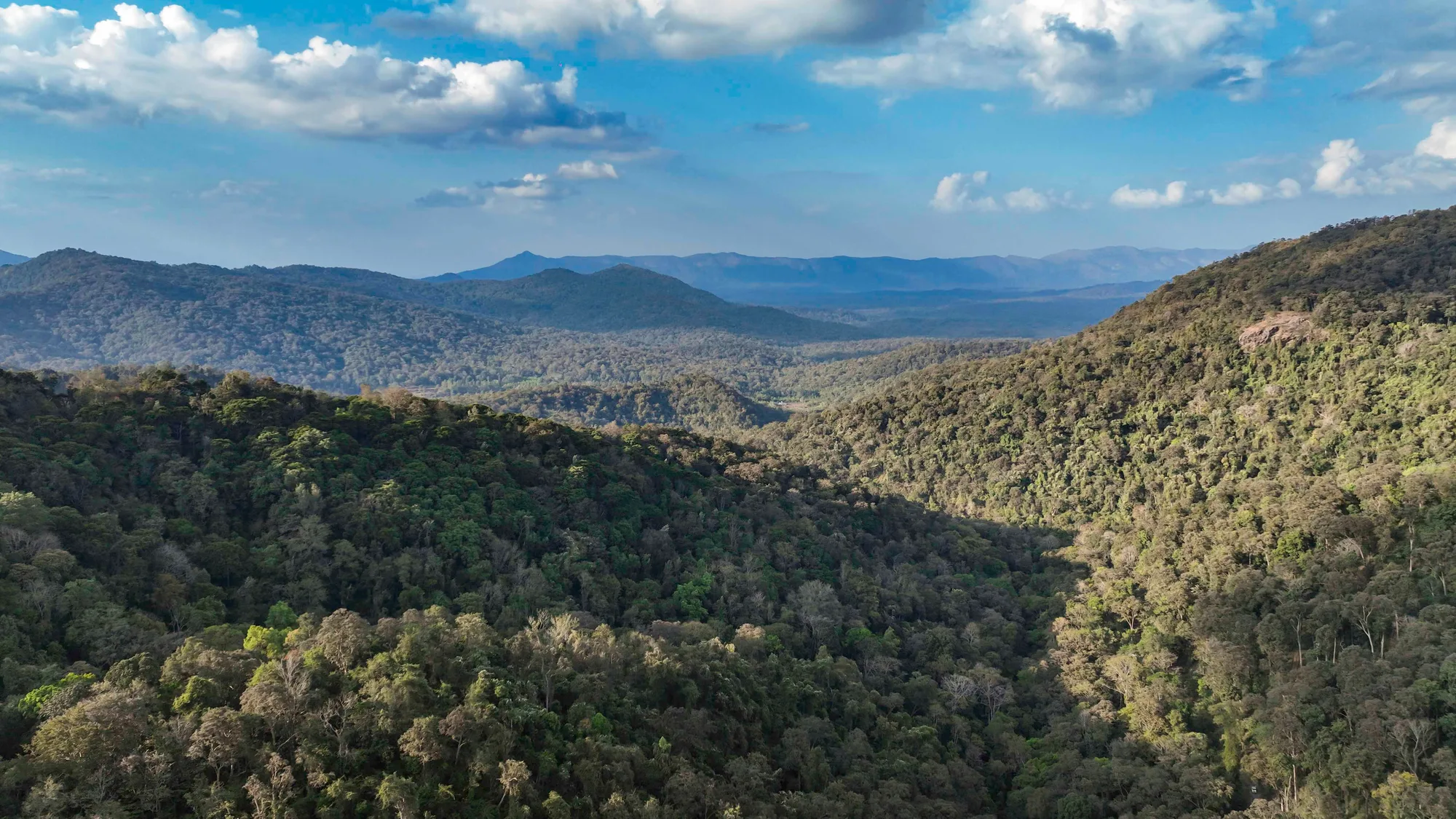 Karnataka Heritage & Wildlife Circuit