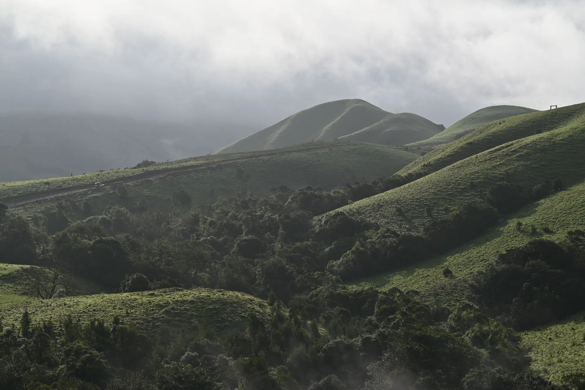 1 Day Coorg Local Sightseeing with Talakaveri