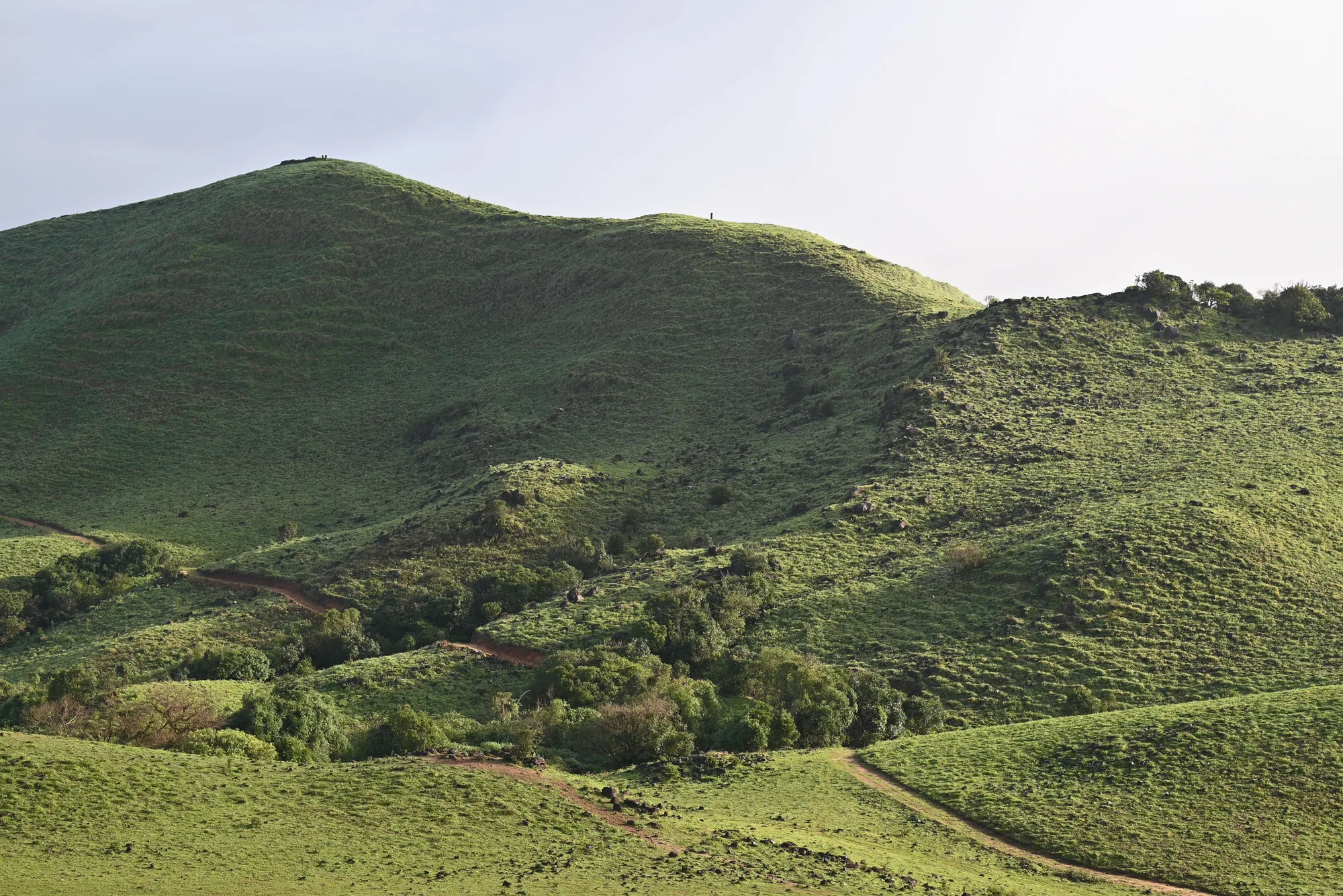 Bangalore to Coorg Weekend Escape — 2 Nights / 3 Days