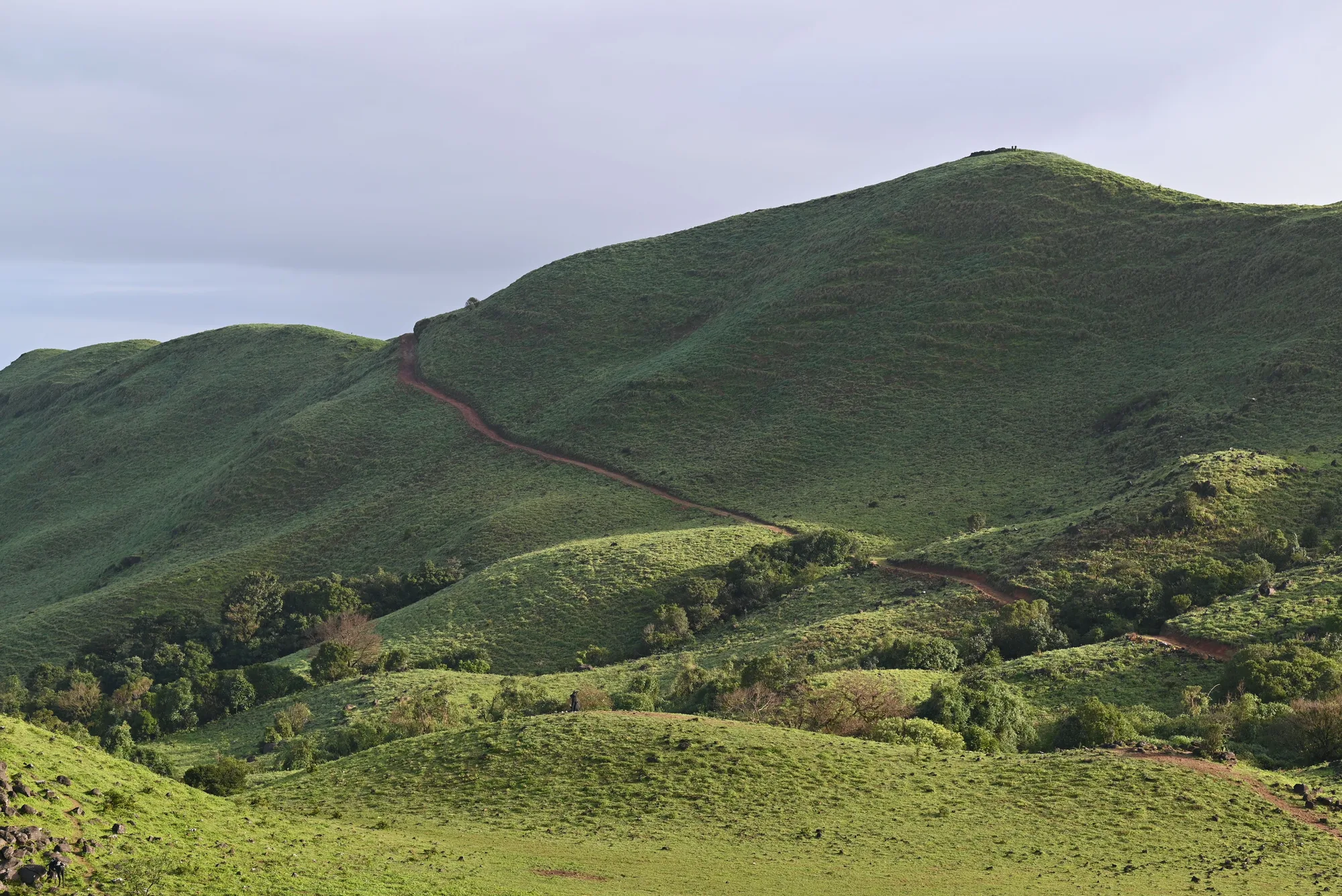 Long Weekend in Coorg