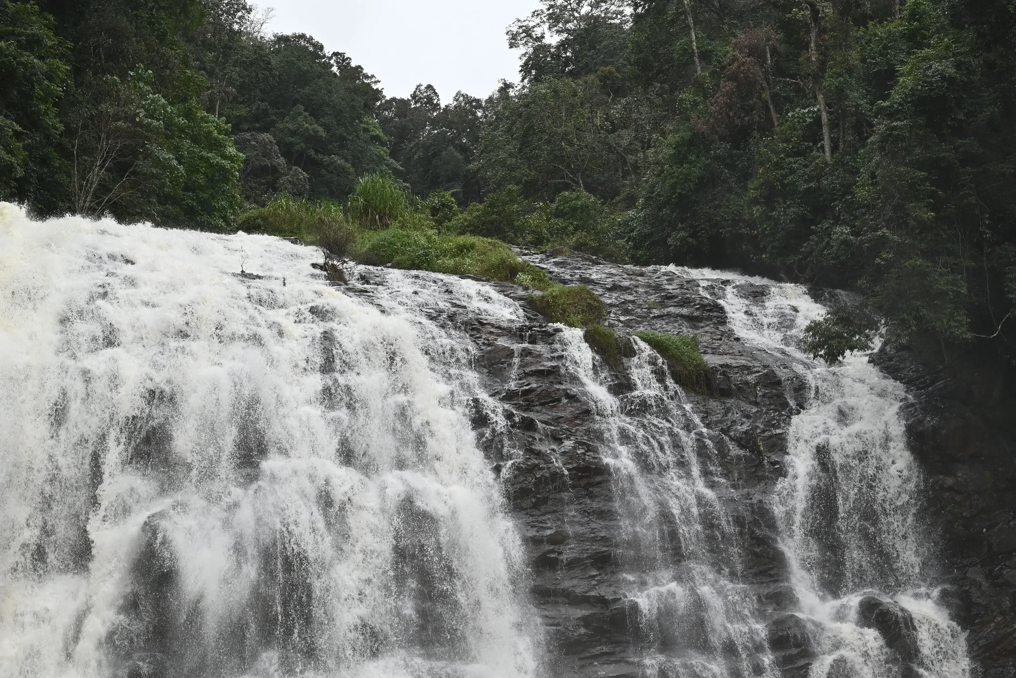 Coorg Honeymoon Escape — 3 Nights / 4 Days
