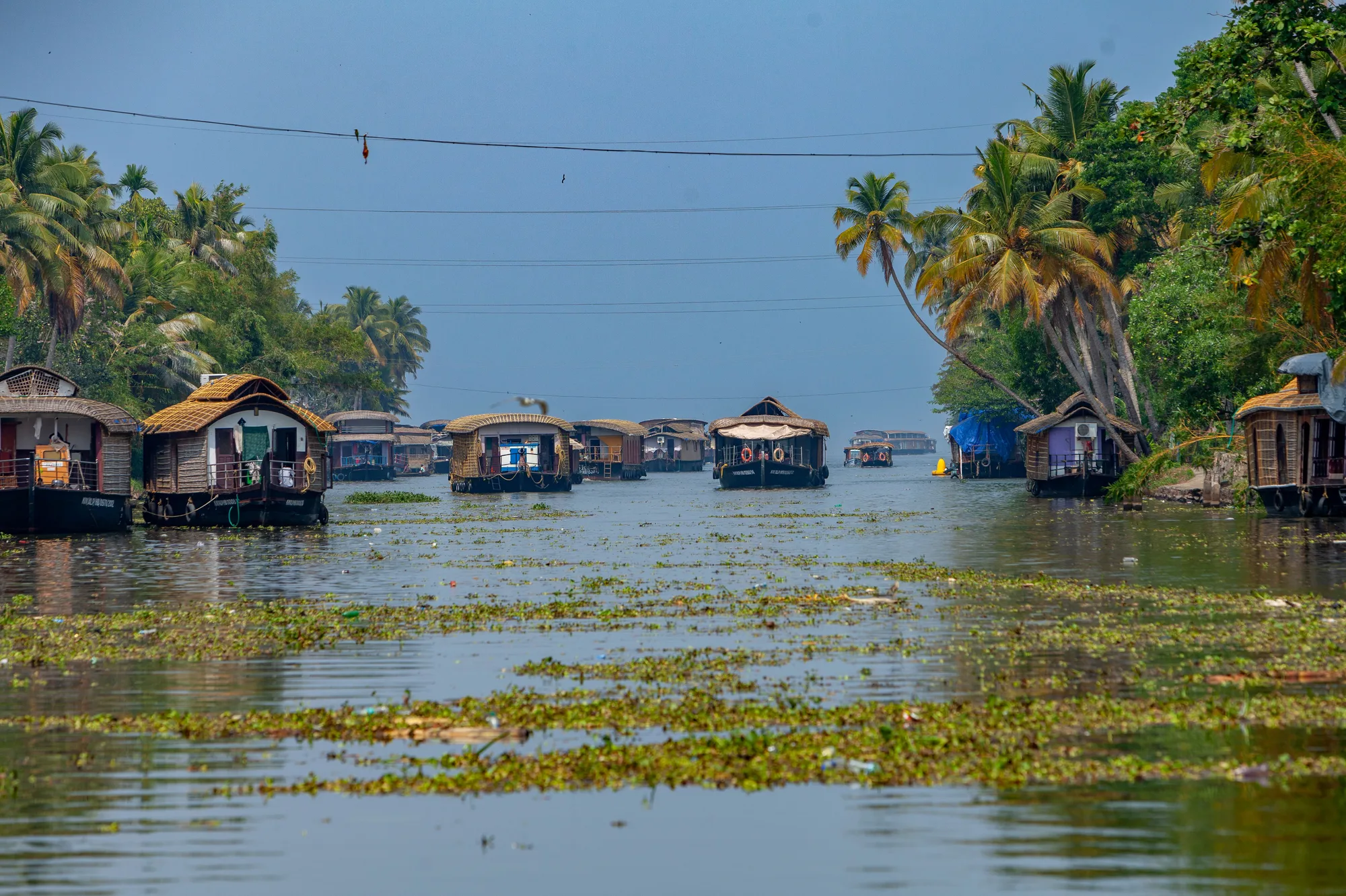 Kerala Backwaters Grand Cruise
