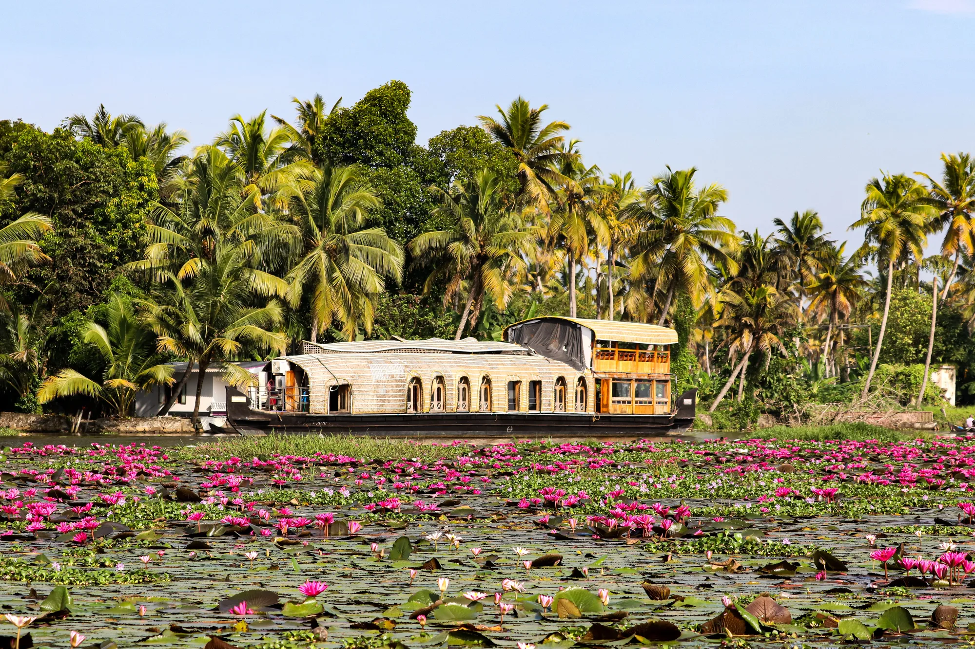 Kerala Backwaters Vembanad Cruise