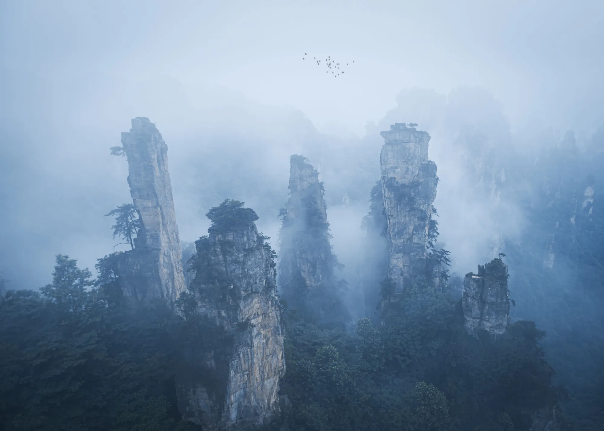 Zhangjiajie travel 5