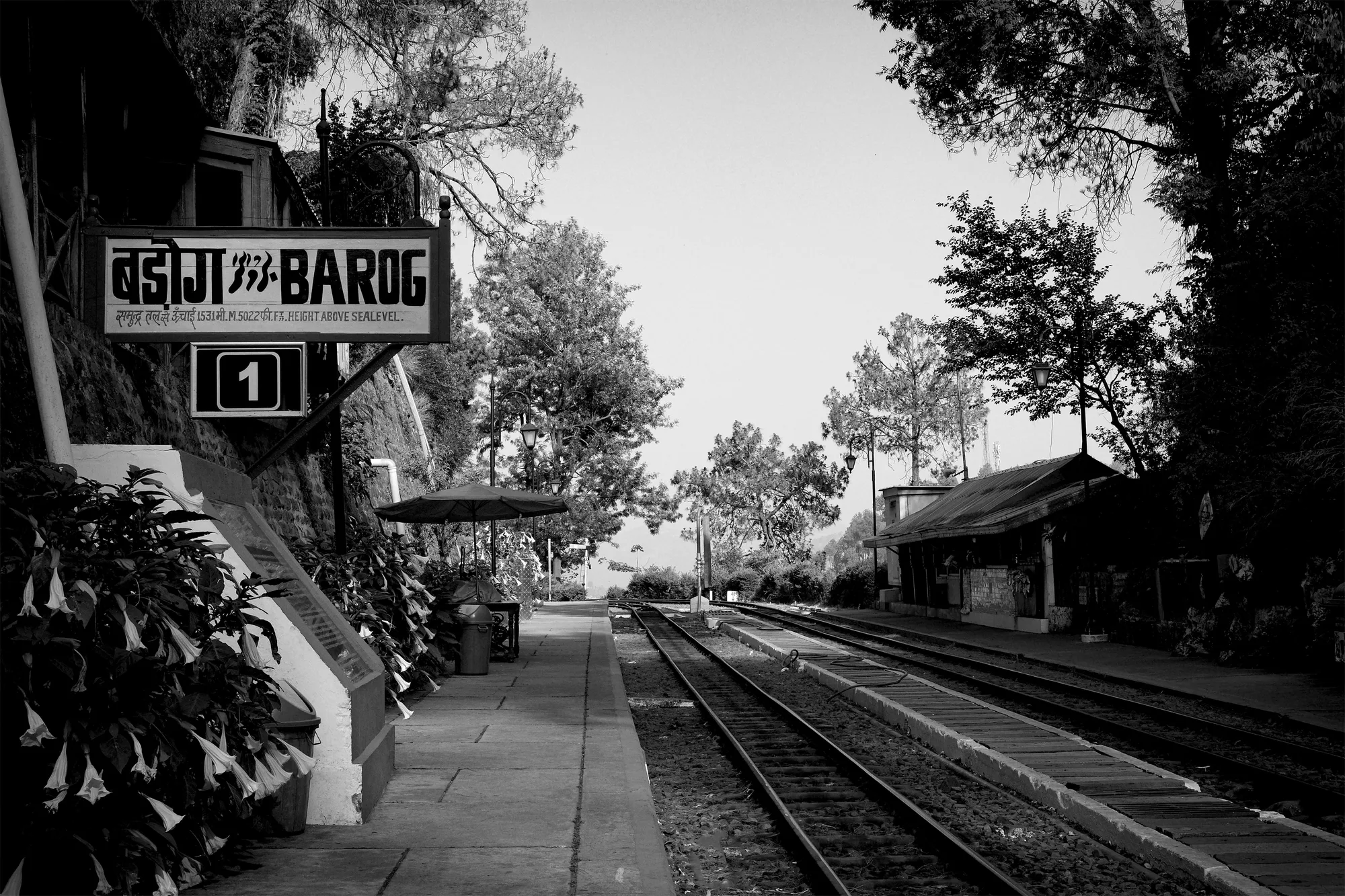 Shimla Toy Train Weekend