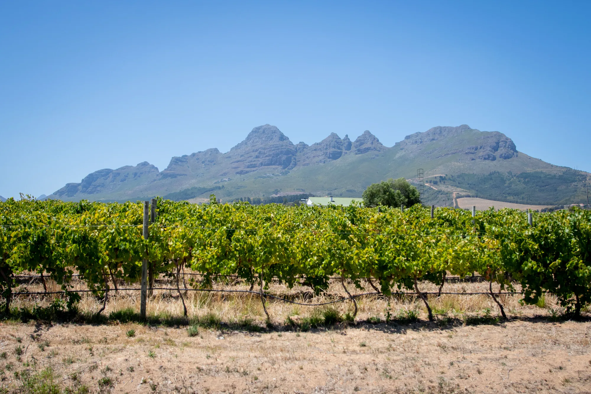South Africa Cape Town & Winelands