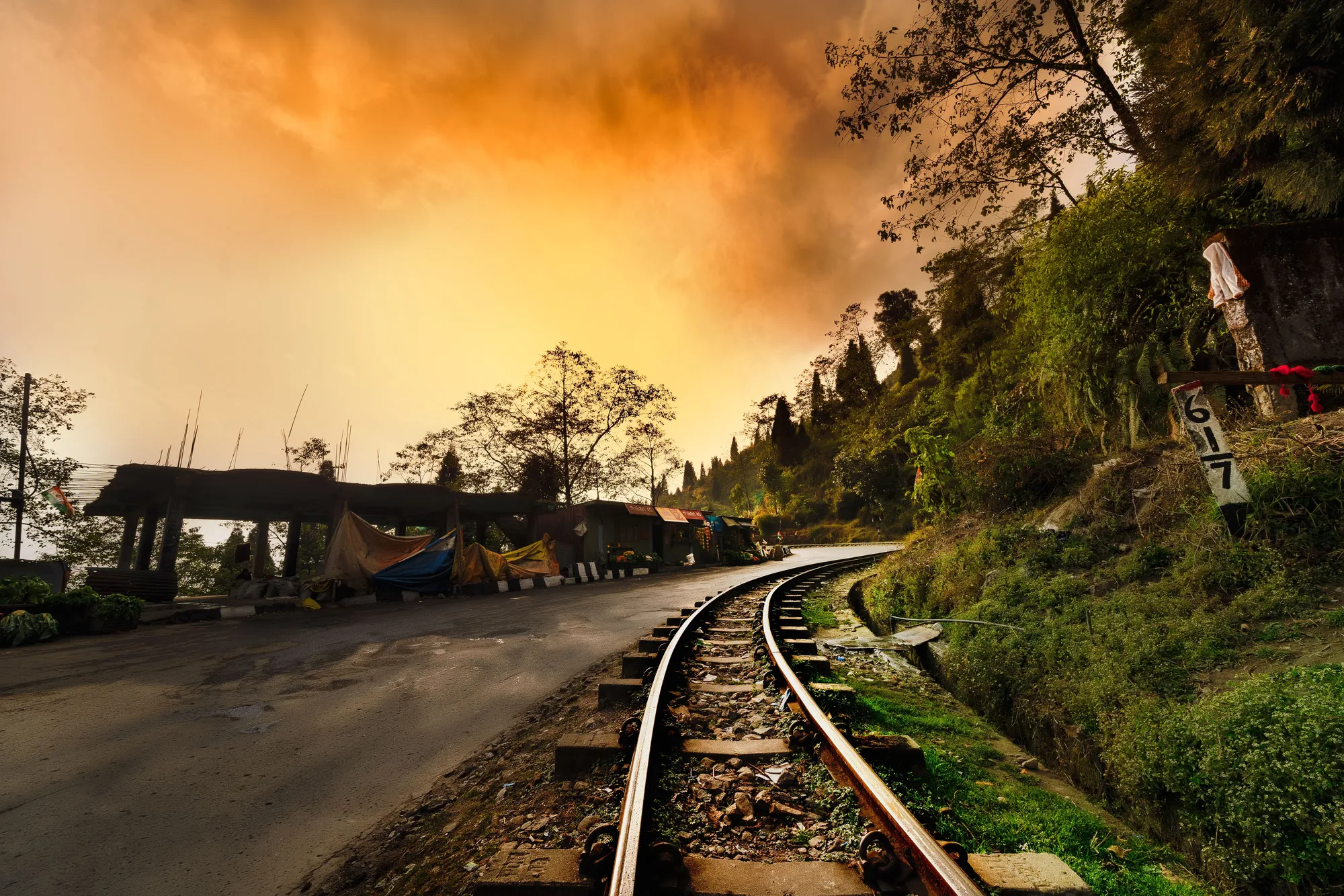 Darjeeling Toy Train & Tea Gardens