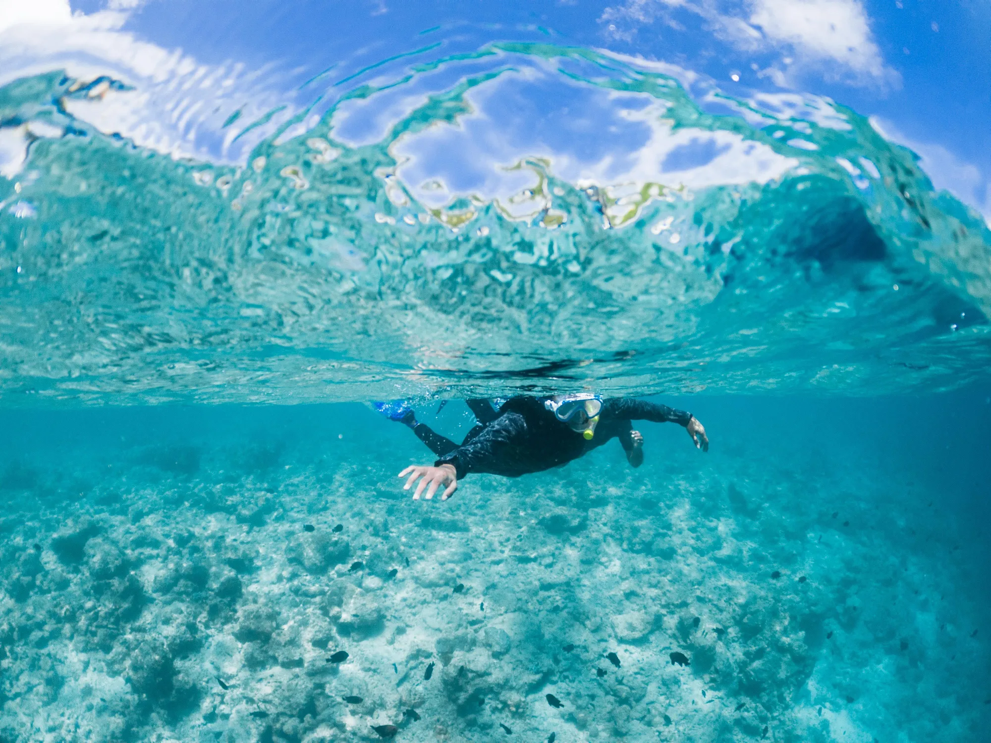 Lakshadweep Lagoon Diving Escape