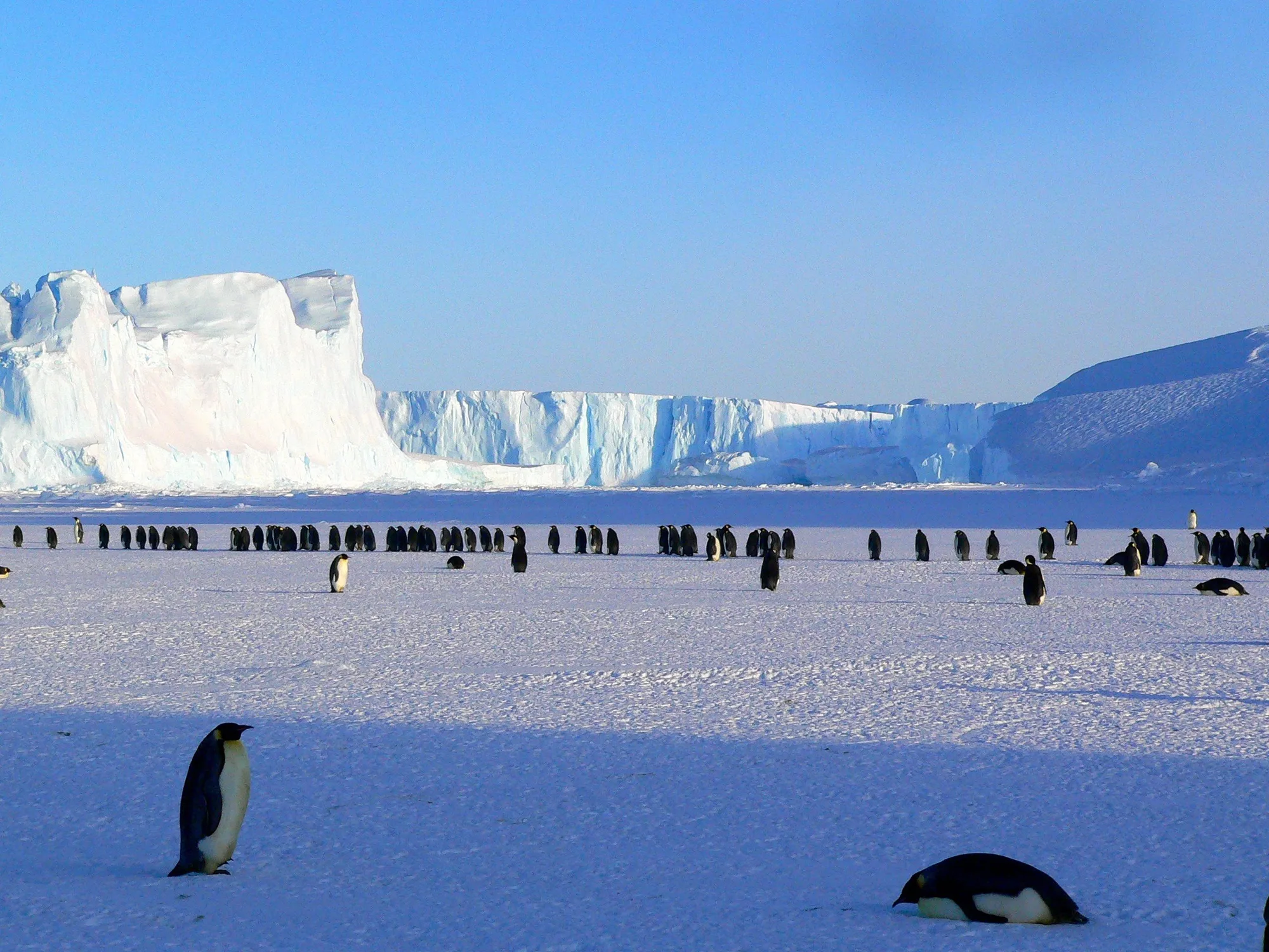 Antarctica: White Continent Expedition