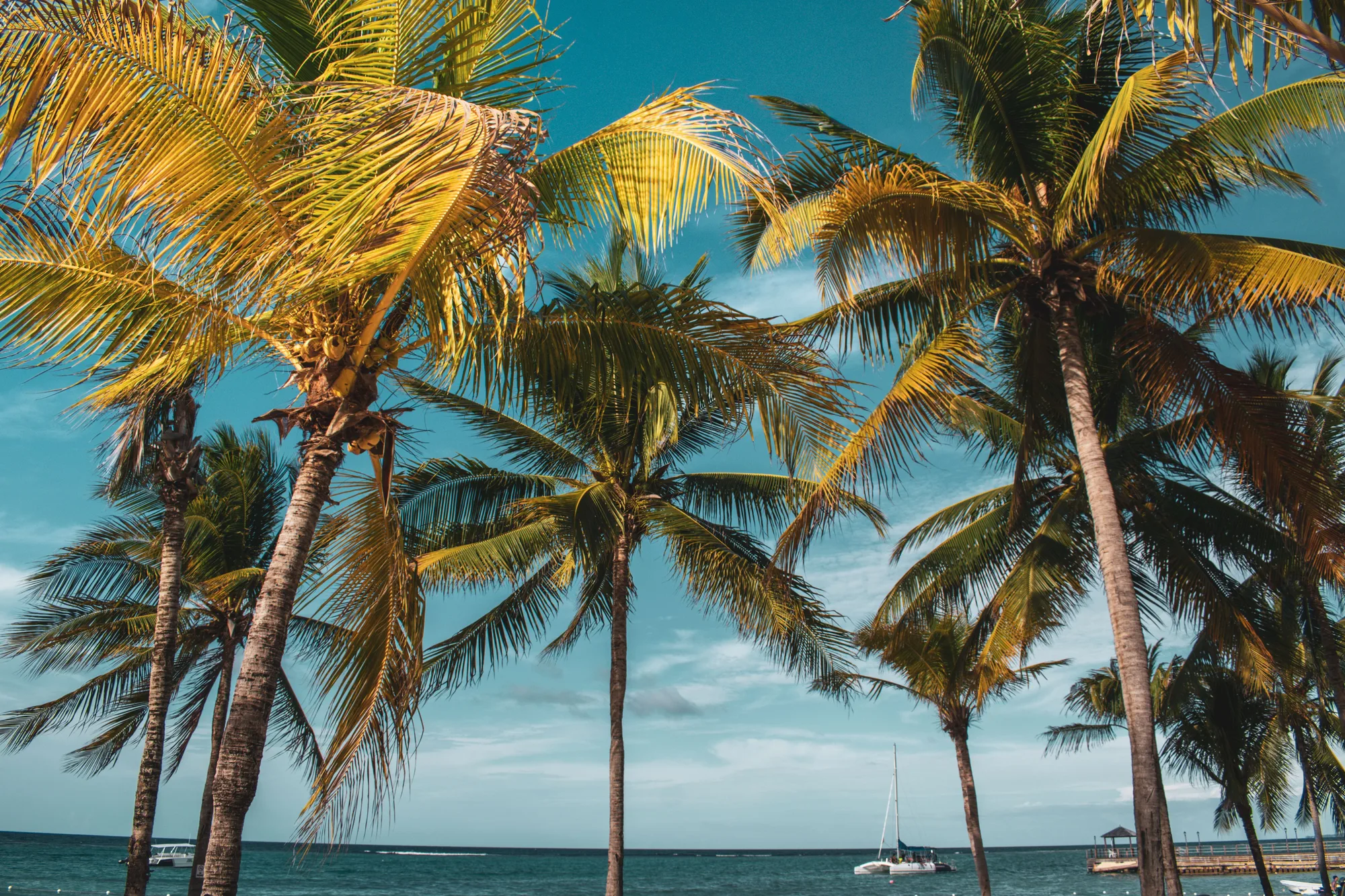 Montego Bay travel 4
