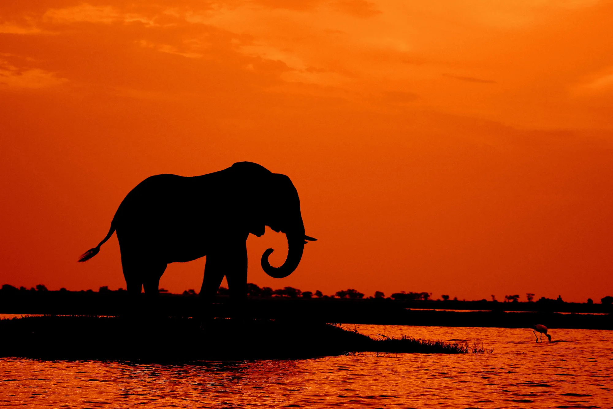 Chobe National Park travel 3