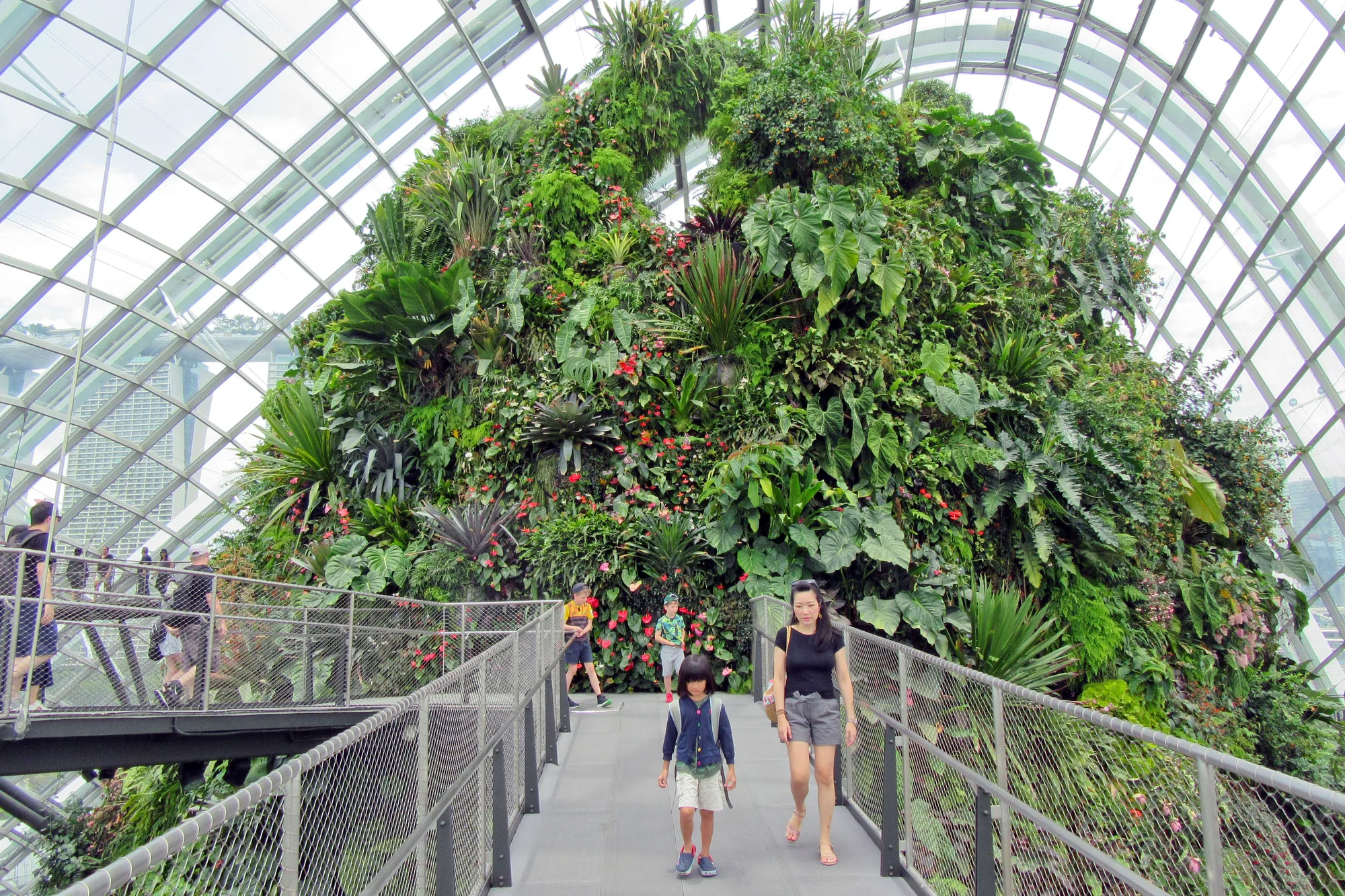 Singapore Family Fun
