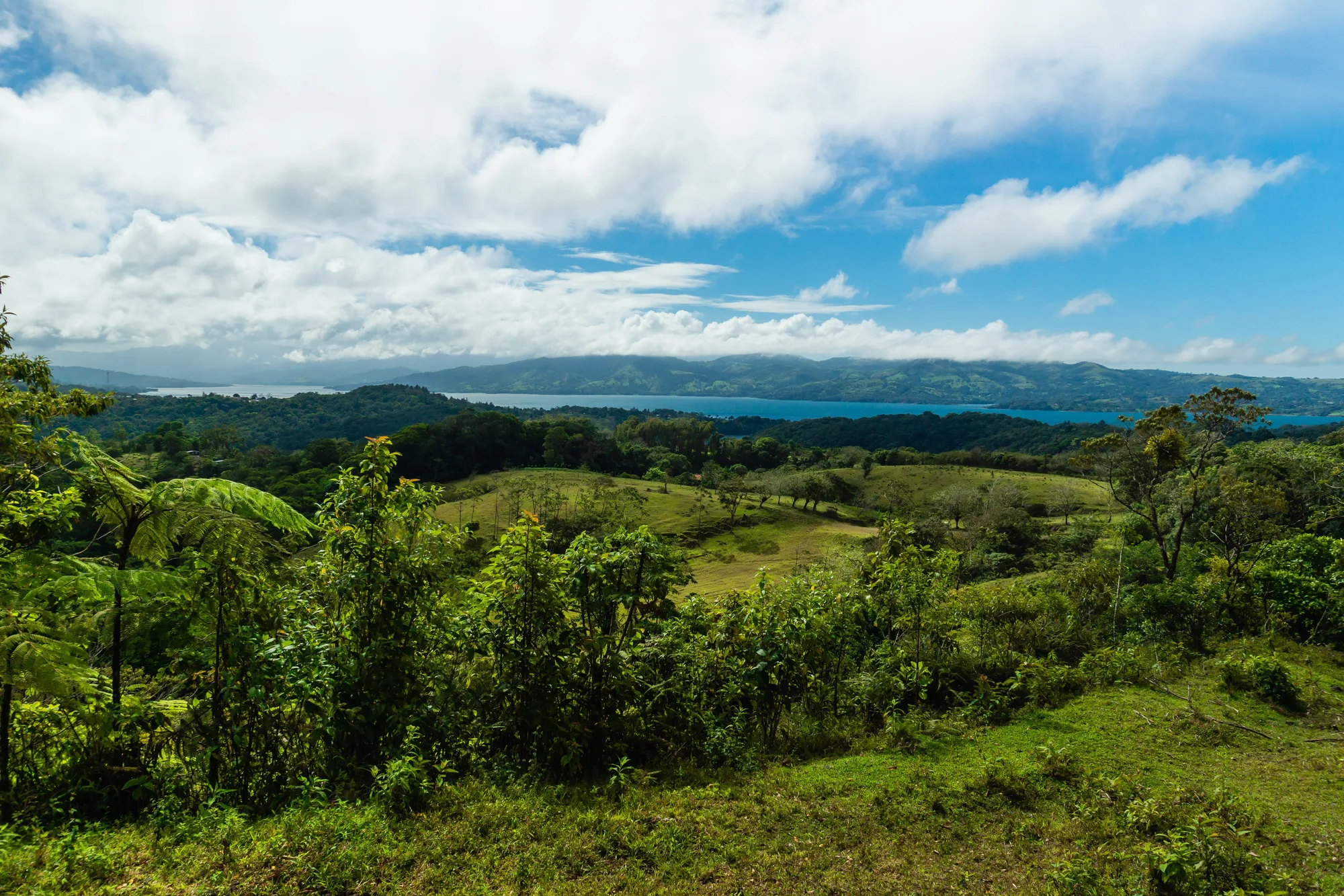 Monteverde Cloud Forest travel 1