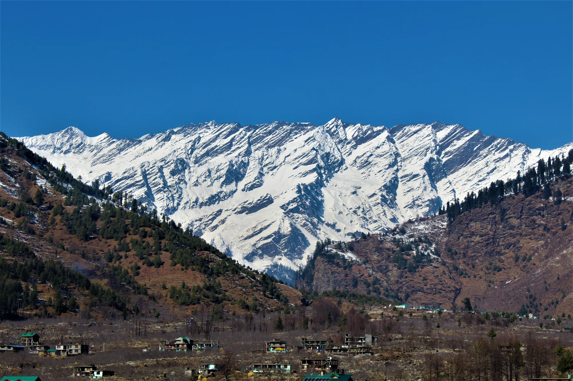 Manali Honeymoon Retreat