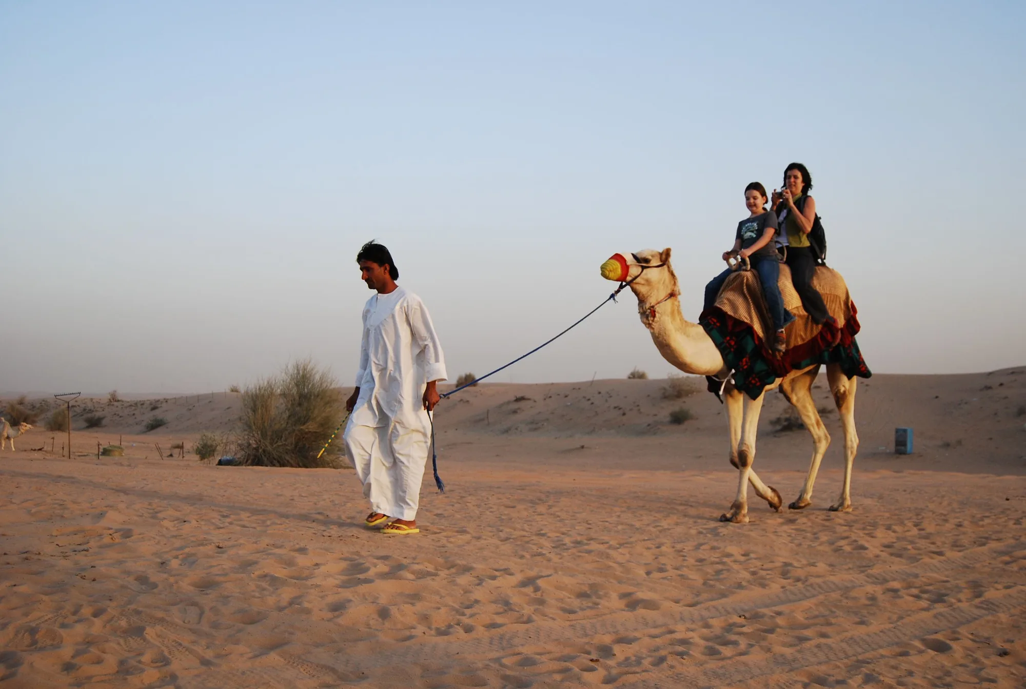 Dubai Desert Dunes & Oasis Retreat