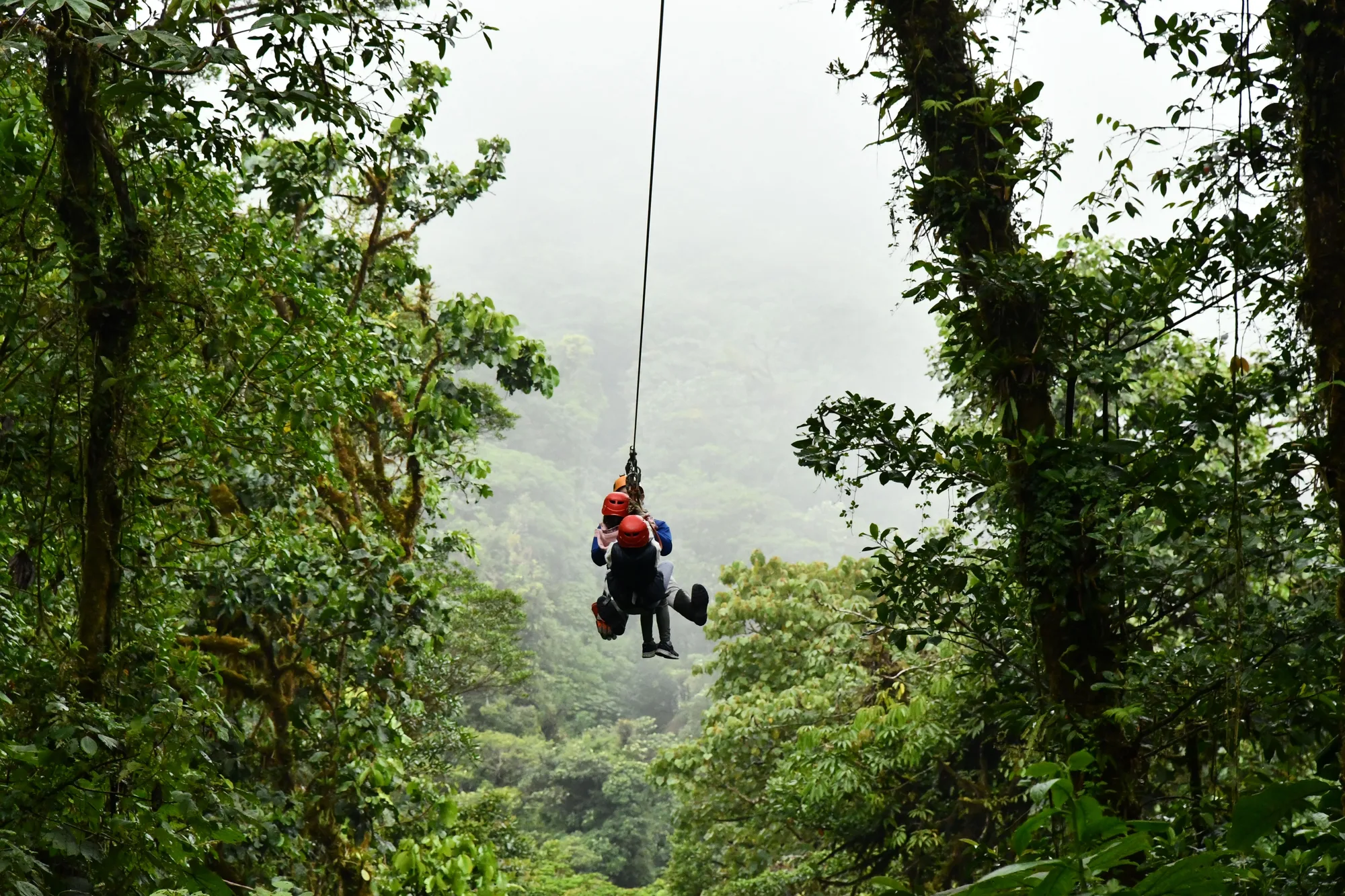 Monteverde Cloud Forest travel 2