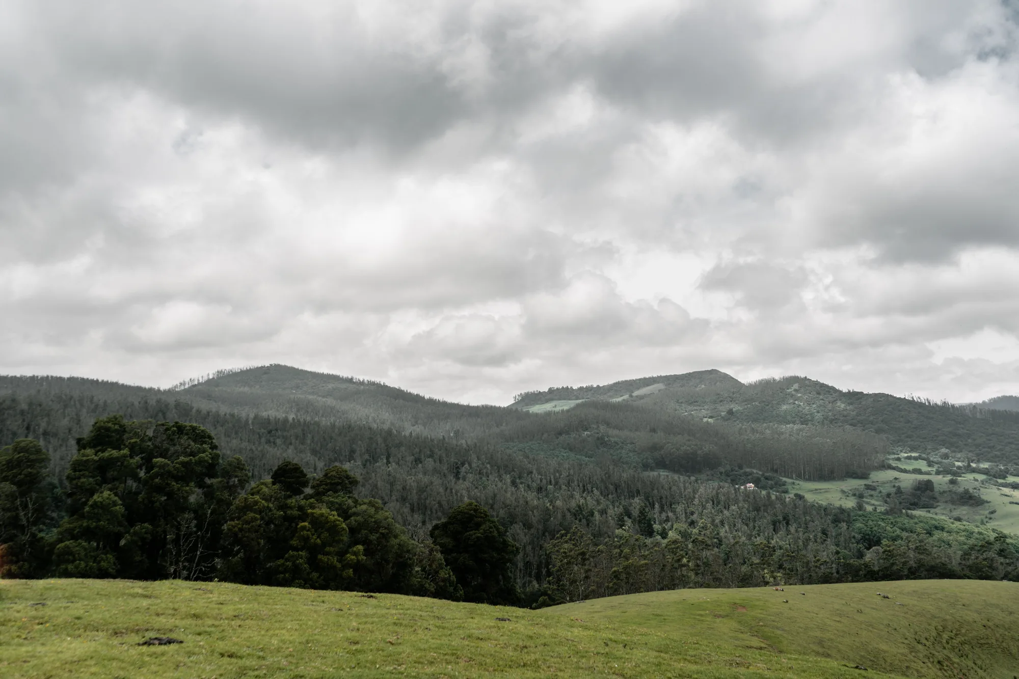 Ooty-Kodaikanal Hill Twin