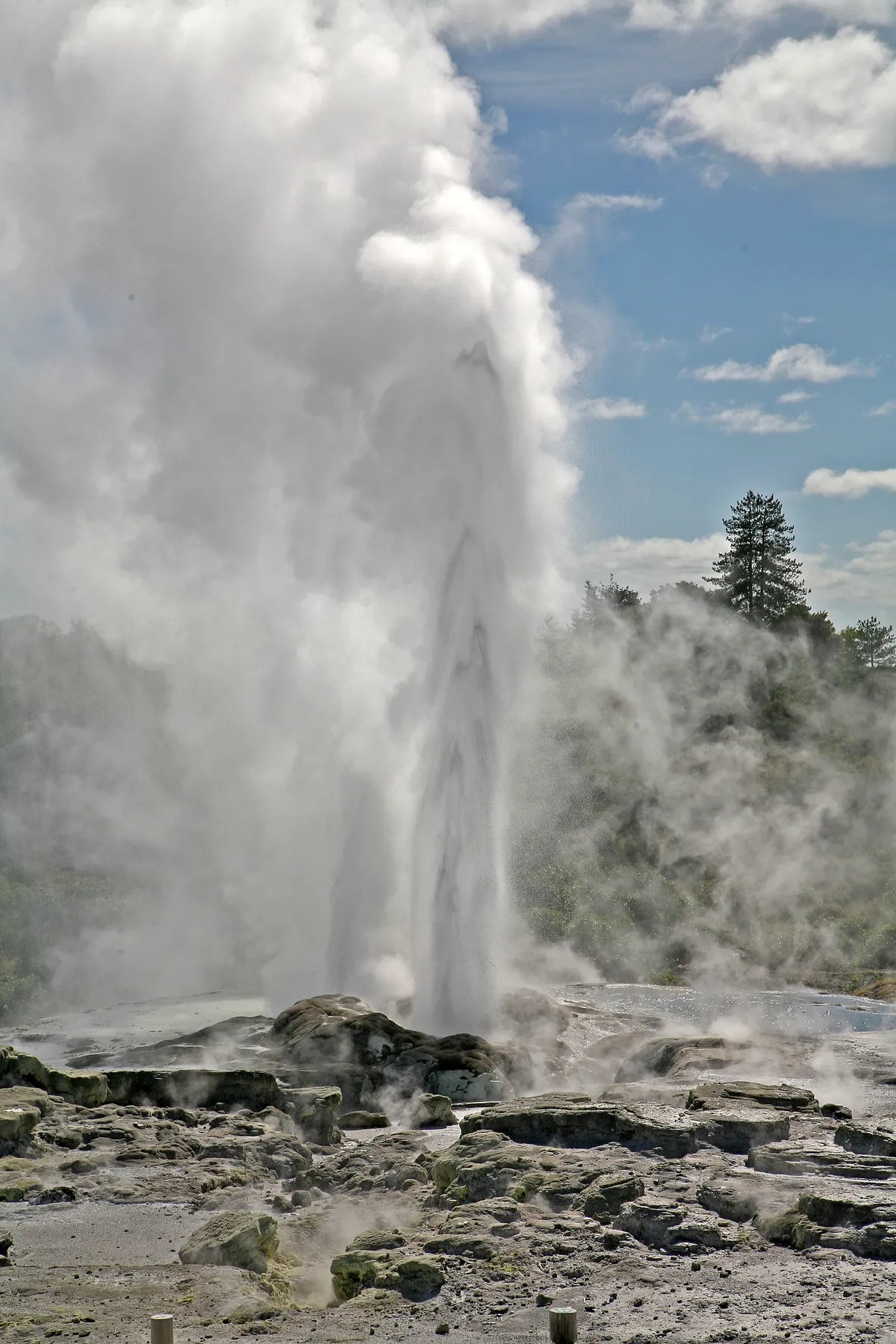Rotorua travel 1