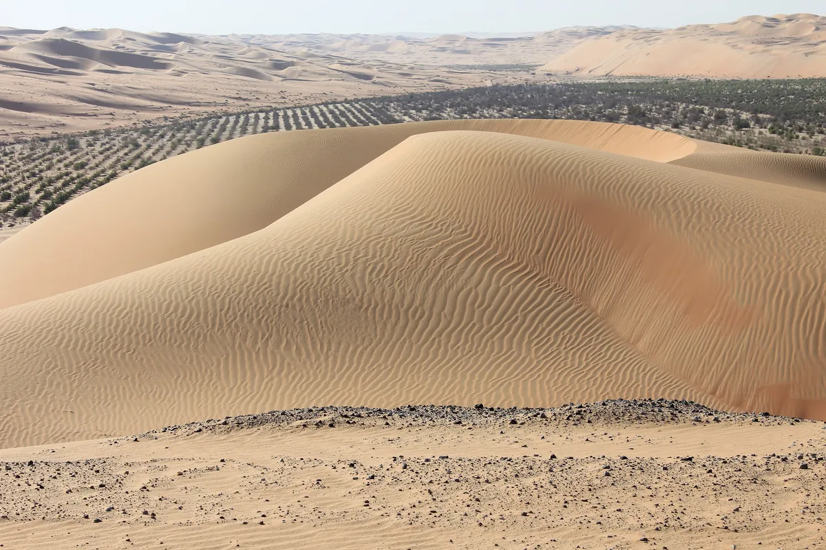 Liwa Oasis travel 1