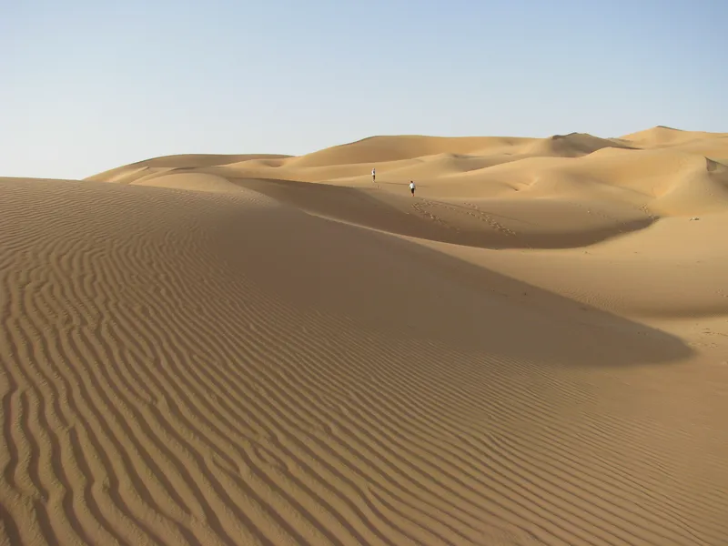 Liwa Oasis travel 3