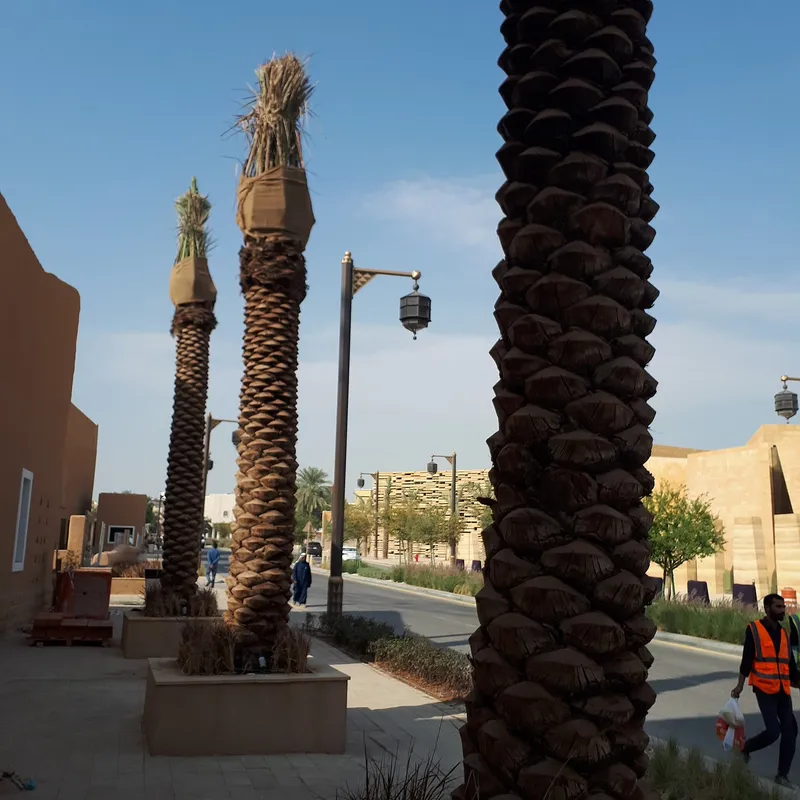 Riyadh & Diriyah travel 2