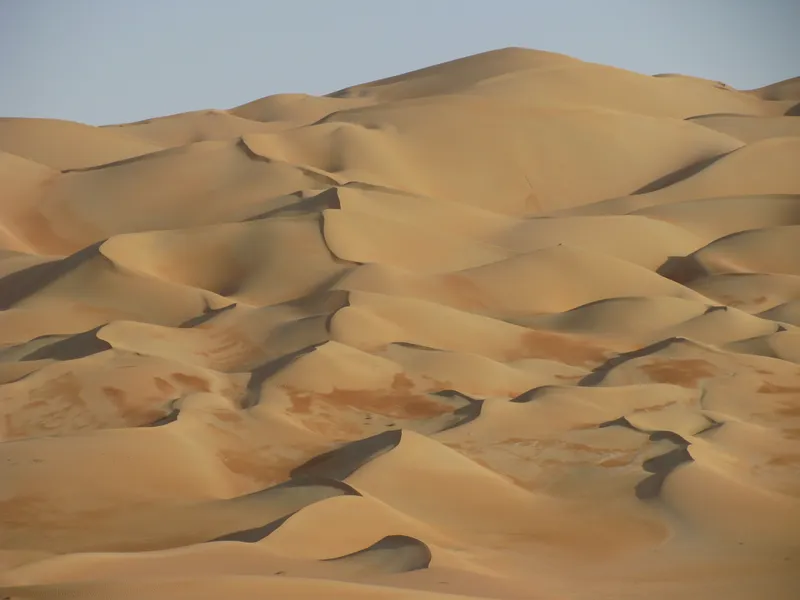 Liwa Oasis travel 4