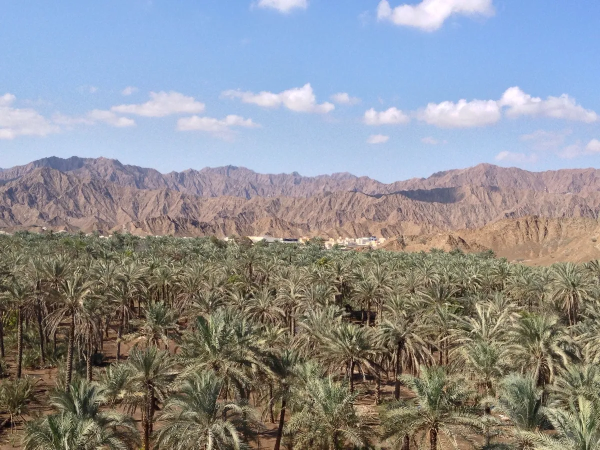 Fujairah travel 1