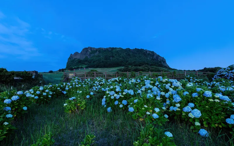 Jeju Island travel 2