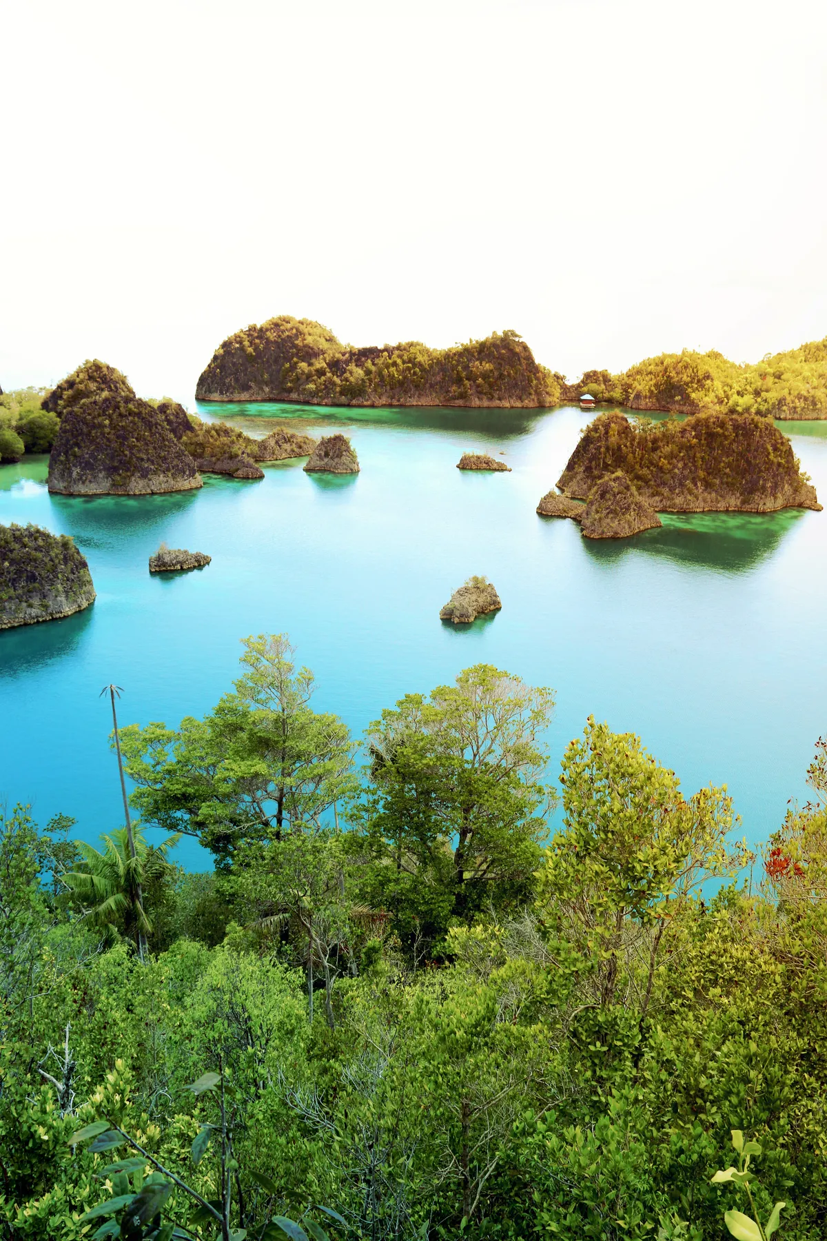 Raja Ampat travel 1
