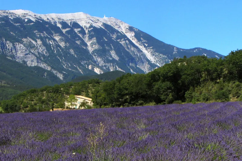 Provence travel 4