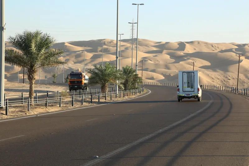 Liwa Oasis travel 2