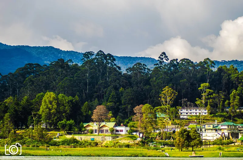 Nuwara Eliya travel 3