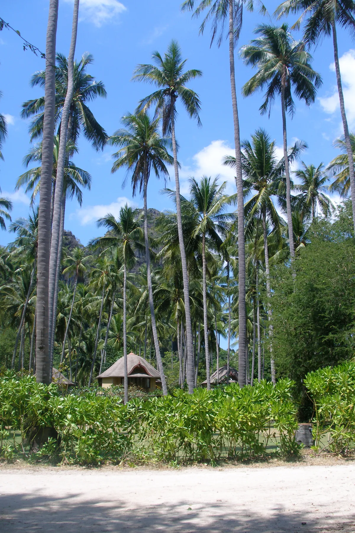 Krabi travel 1
