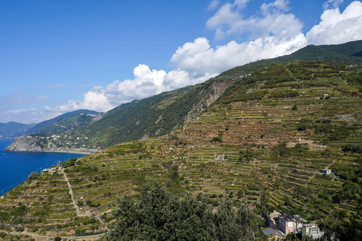 Cinque Terre travel 1
