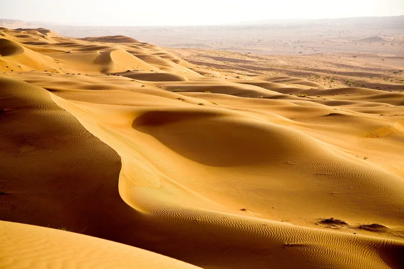 Wahiba Sands travel 4
